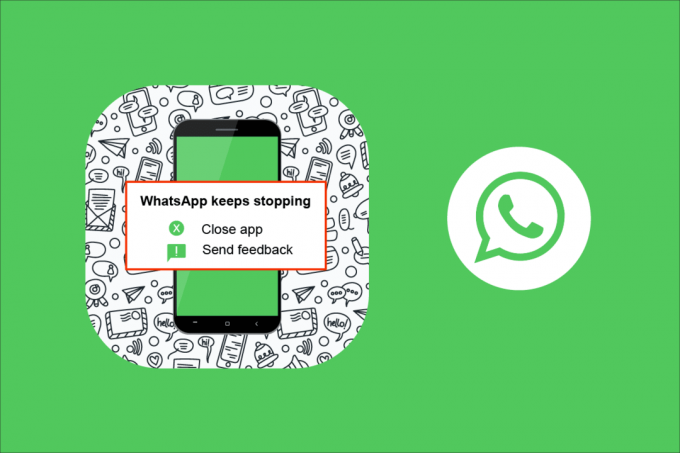 Arreglar WhatsApp sigue fallando en Android