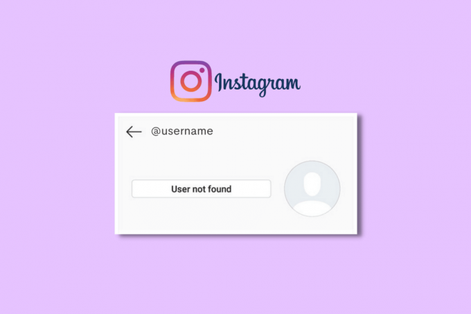 Hvordan fikse brukeren ikke funnet på Instagram