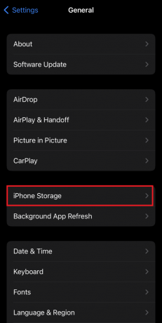 Tryk på iPhone Storage | Sådan genstartes Snapchat på iPhone 11