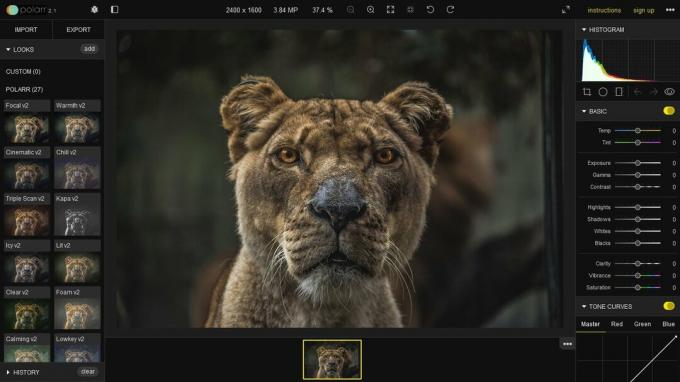 Polarr | Instagram-foto-editor online