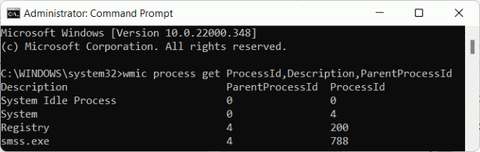 wmic procesas gauti ProcessId, Aprašymas, ParentProcessId cmd win11