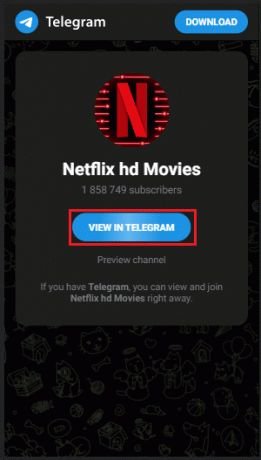 Netflix HD Movies Telegrammkanal