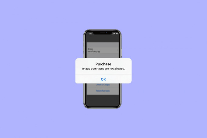 Fix iPhone In App Aankoop wordt niet ondersteund Fout