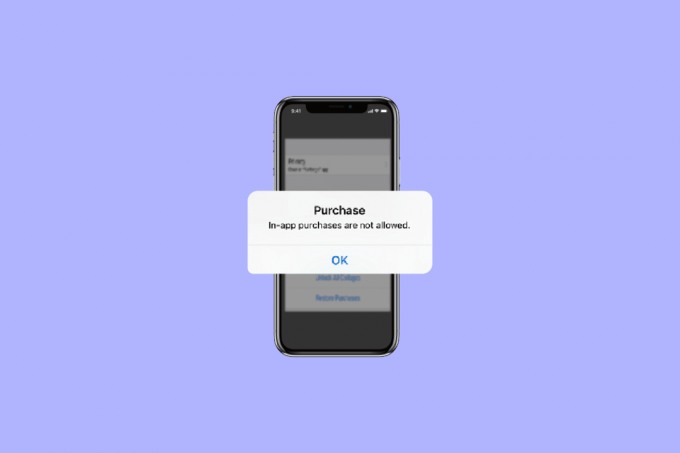 Odpravite napako iPhone In App Purchase Is Not Supported