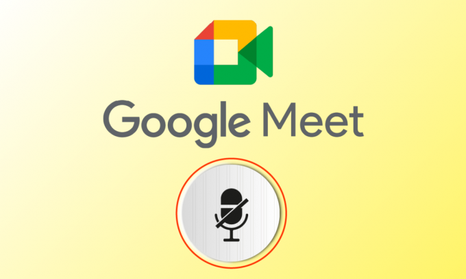 Åtgärda att din mikrofon är avstängd av systeminställningar i Google Meet