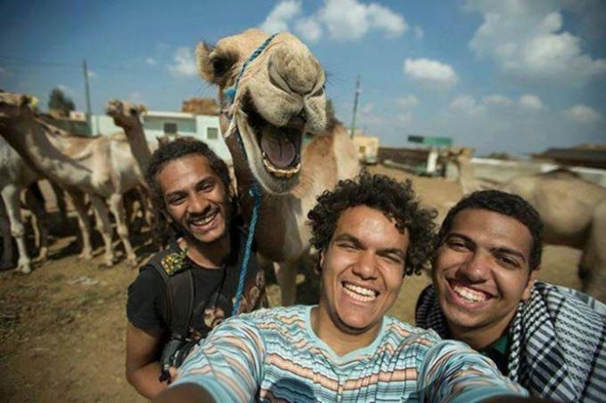 Selfie de camello