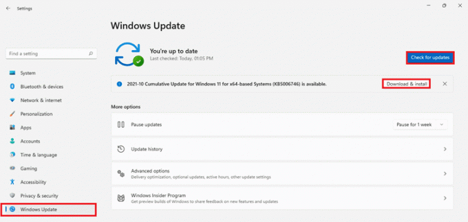 Tabblad Windows-update in de app Instellingen. Hoe te repareren dat de webcam niet werkt op Windows 11