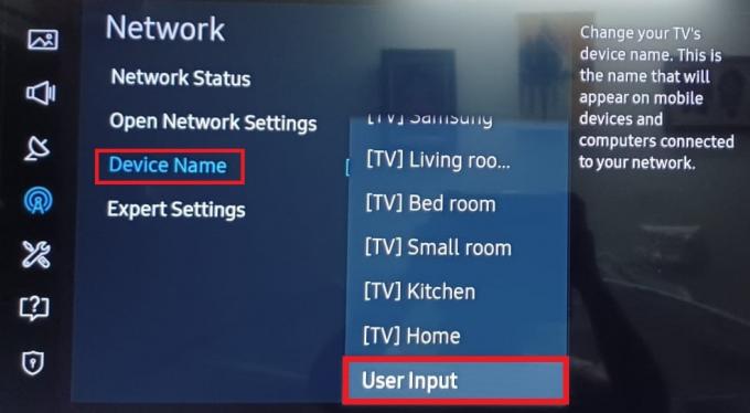Įrenginio pavadinimas Vartotojo įvestis Samsung TV | Kaip išspręsti „Samsung“ televizoriaus „Wi-Fi“ ryšio problemas