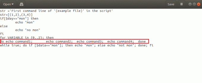 onglets utilisés dans la commande do echo dans le fichier bash example.sh