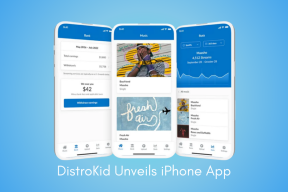 DistroKid predstavuje aplikáciu pre iPhone pre nezávislých umelcov – TechCult