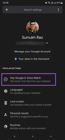 Hej Google in Voice Match