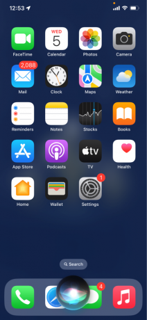 Come registrare lo schermo su iPhone con Siri iOS 16.5- Dì un comando come Ehi, Siri registra il mio schermo 