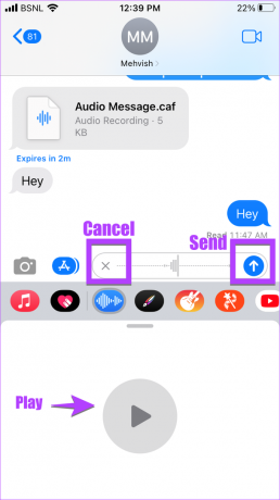 Audiotextoptionen auf iOS 16 iPhone