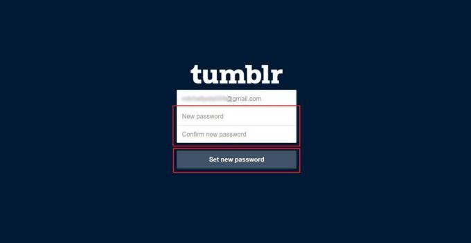 Geben Sie Ihr neues Passwort ein und bestätigen Sie es – klicken Sie auf Neues Passwort festlegen