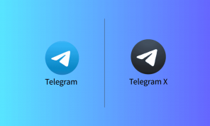 텔레그램과 텔레그램 X의 차이점은 무엇입니까?