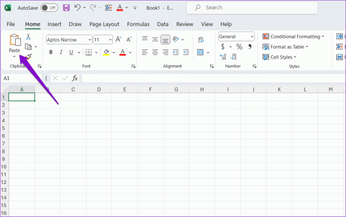 Plak in Excel