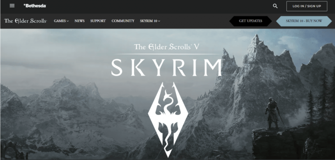 Elder Scroll 5 Skyrim. Was sind Rollenspiele? Alles Wissenswerte über Rollenspiele