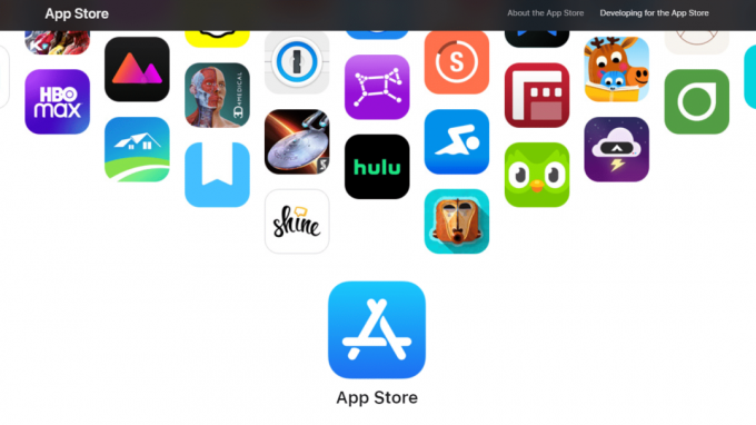 Apple App Store | tecken på att din telefon är hackad