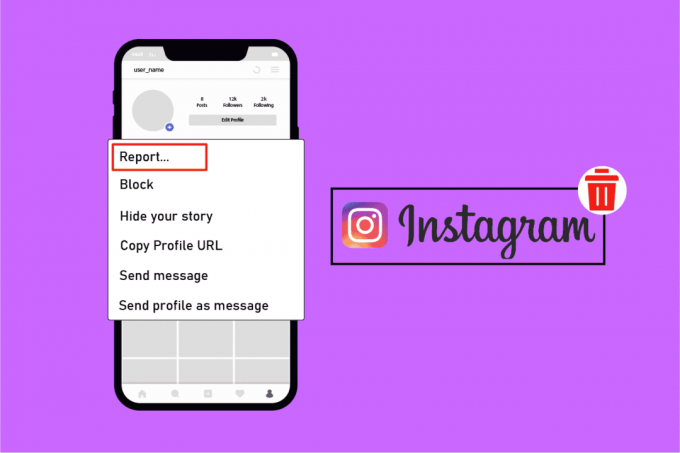 Сколько отчетов нужно, чтобы удалить учетную запись Instagram