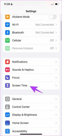 Faceți clic pe Screen Time pe iPhone