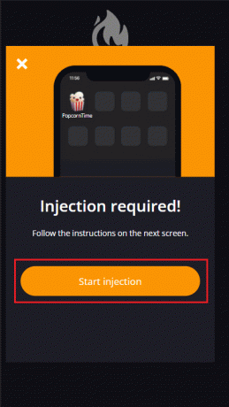 Tippen Sie auf der iTweak-Website auf die Option Injektion starten