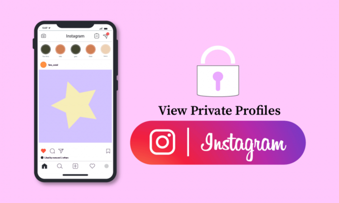 Hur man visar privata Instagram-profiler