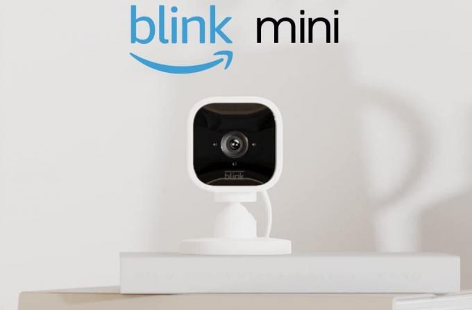 Meilleure caméra intérieure pour animaux de compagnie au Royaume-Uni Blink Mini