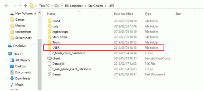 BRUGERMAPPE RSI Launcher C D Programfiler Roberts Space Industries StarCitizen