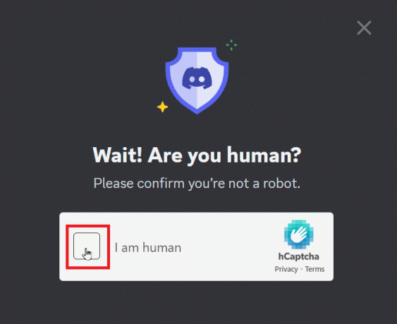 Completați captcha dacă este necesar | cum să utilizați ProBot Discord