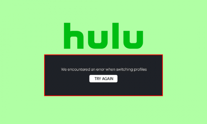 Åtgärda Hulu Switch Profile Error i Windows 10
