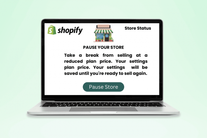 Hva skjer når du setter Shopify-butikken på pause?