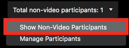 " 비디오가 아닌 참가자 표시" 를 클릭합니다.