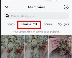 gå till kamerarullen. Hur man döljer vilket filter du använde på Snapchat