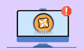 Beheben Sie Nexus Mod Manager ein Problem, das während der Installation aufgetreten ist