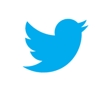 Twitter-Vogel-Blau auf Weiß