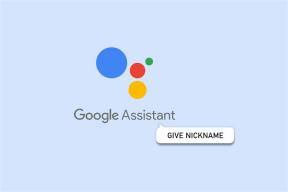 Cómo dar un apodo para el Asistente de Google – TechCult