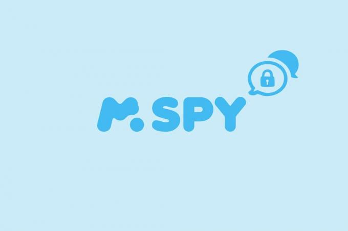 mSpy는 개인 기록을 표시합니까?
