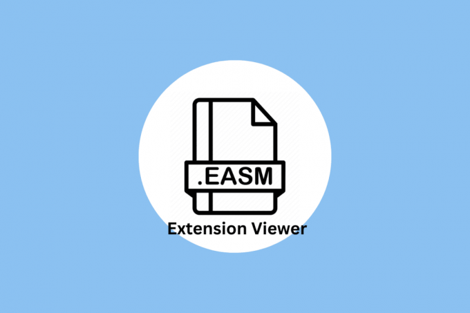 Ce este EASM Extension Viewer