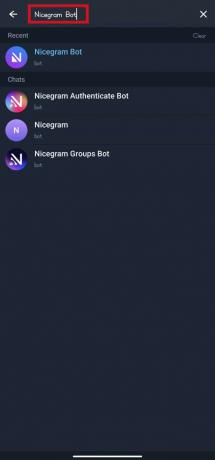 Введіть Nicegram Bot у текстове поле
