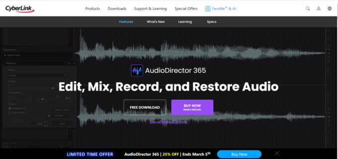 AudioDirector365