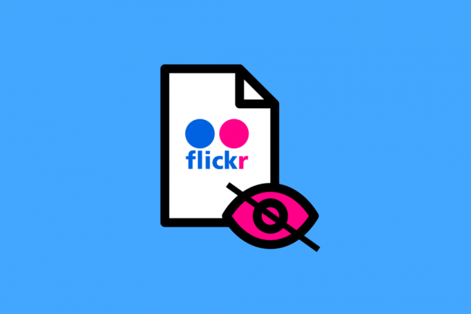 Er Flickr-billeder private?