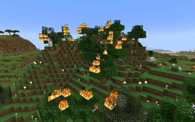 Brandfarlige genstande Minecraft