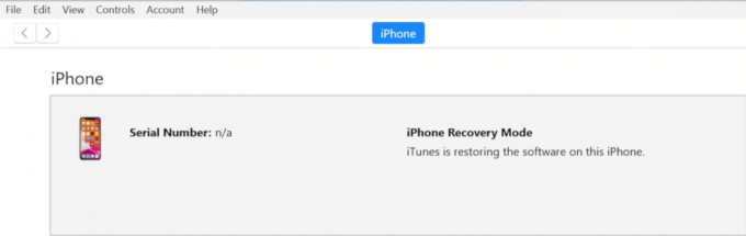 iTunes จะกู้คืนซอฟต์แวร์บน iPhone ของคุณ รอจนกว่ากระบวนการจะเสร็จสิ้น | วิธีปลดล็อกพบ iPhone ที่หายไป