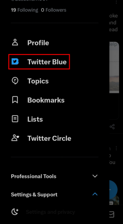 اضغط على خيار Twitter Blue. | إزالة مسافات Twitter