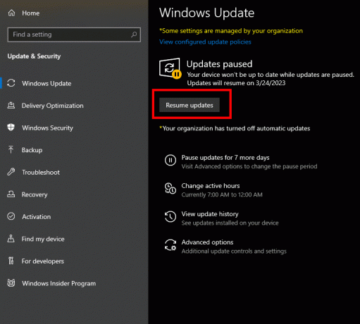 Klicka på Sök efter uppdateringar eller Återuppta uppdateringar på fliken Windows Update.