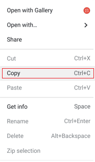 Faceți clic dreapta pe fișiere și faceți clic pe Copiere din meniul contextual | Cum să ștergeți imagini de pe Chromebook Numai citire