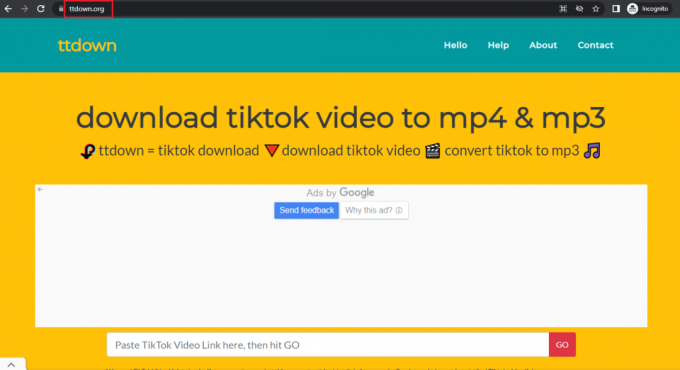 Page d'accueil TTDown. 21 meilleurs téléchargeurs de vidéos TikTok HD