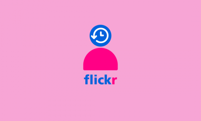 삭제된 Flickr 계정을 복원하는 방법