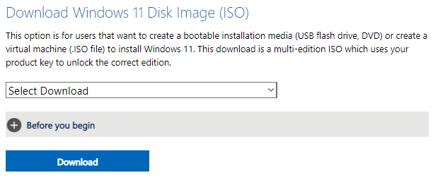 Windows 11 ISO용 다운로드 옵션