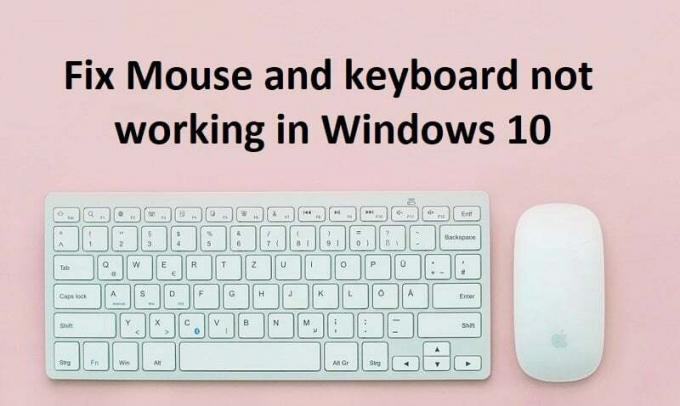 Fix Maus und Tastatur funktionieren nicht in Windows 10